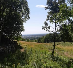 Petite balade à Givry - Givry - 2