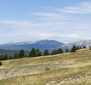 Plateau du Beure avec belvédère et Chalet des Ours - Delphine - 3