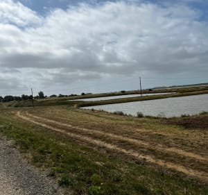Velodyssée : La Tranche sur Mer / Marans - La Tranche-sur-Mer - 2