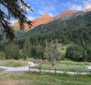 Petite balade au départ des Lanches jusqu’au petit glacier - Peisey-Nancroix - 2