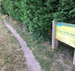 Parcs et marais le long de l’Essonne - Vincent - 3