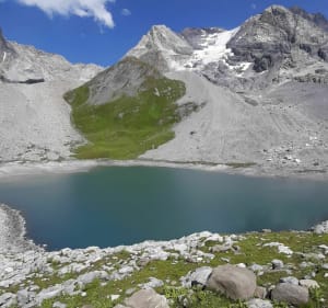 Toevluchtsoord van de Vanoise-pas, lang en rond meer, meer van koeien - Pralognan-la-Vanoise - 2