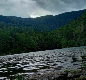 Lac de Sewen et d'Alfeld - Sewen - 2