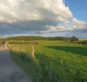 Entre champs et forêt à Saint Avold - Macheren - 2