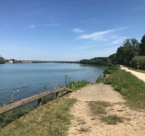 Balade en bord de Saône, de Thoissey à Macon - Thoissey - 2
