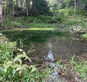 Plaine d’Herbouilly, sa source et son histoire depuis Château Julien - Villard-de-Lans - 2