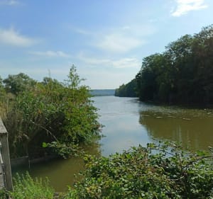 Autour de Gassicourt - Mantes-la-Jolie - 2