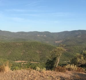 Sur les hauteurs de Roquebrune - Roquebrune-sur-Argens - 2