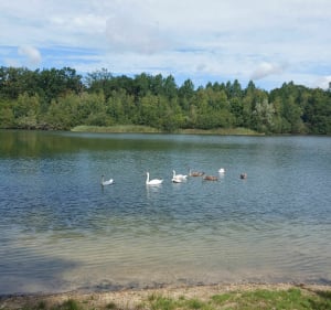 Les étangs autour des Beaux-Monts - Compiègne - 2