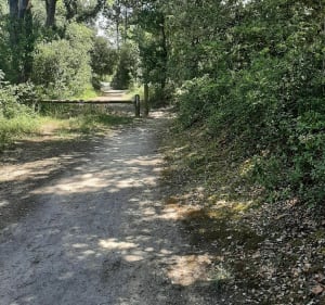 Belle balade entre bois et marée à La Barre-de-Monts - La Barre-de-Monts - 2