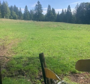 La Petite Combe Mouton et la Côte du Châtelet - Montperreux - 2