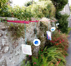 Wandelen rond Cap Fréhel - Plévenon - 2