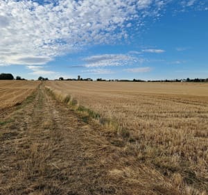 Laquenexy entre village et voie verte - Laquenexy - 2