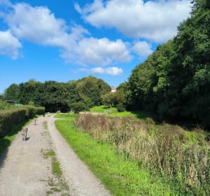 Le poumon vert de Cherbourg par les Roquettes - Cherbourg-en-Cotentin - 2