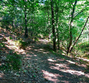 Belle balade au pied de Zuhalmendi - Ascain - 2