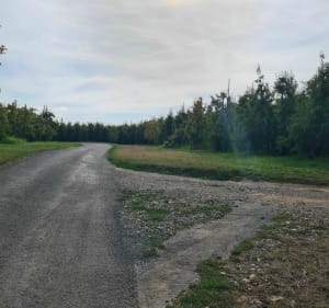 Entre champ et rivière à Lamonzie-Saint-Martin - Sabrina - 3