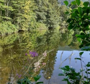 Tour de Plainfaing par la Vallée de Chaume - Plainfaing - 2