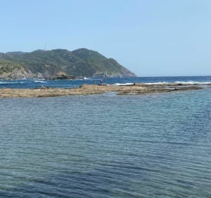 Belle balade de Sanary au Gaou - Sanary-sur-Mer - 3