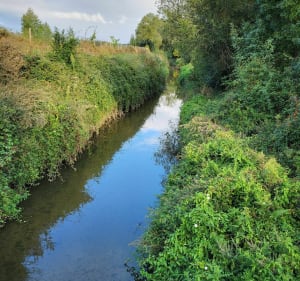 Balade autour de Sainte-Gemmes-sur-Loire - Sainte-Gemmes-sur-Loire - 2