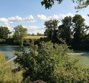 Entre coteaux et rivière du Tarn - Villemur-sur-Tarn - 2