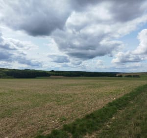 Campagne vallonnée autour de Varennes - Varennes - 2
