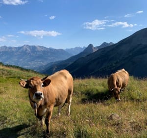 Belle balade depuis le Col d’Allos, à Baisse de Prenier - Uvernet-Fours - 2