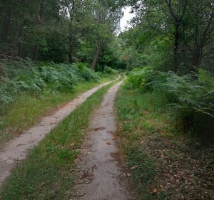 Balade par les chemins près d'une carrière sur Condéon - Condéon - 2