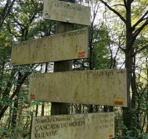 Wandeling onder de Chesnois naar de Vulvoz-waterval - Chassal-Molinges - 2