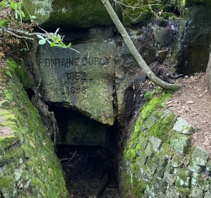 Circuit des points de vue, fontaines et grottes, par la Tour Denecourt - Avon - 2