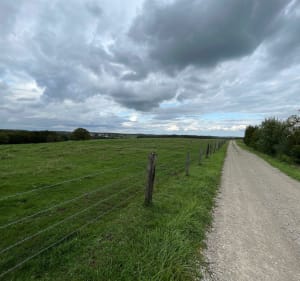 La nature vous attend à Biding - Biding - 2