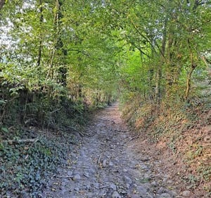 Belle randonnée VTT autour de St Bonnet les Oules - Veauche - 2