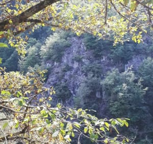 La vallée des Rouets et Château Gaillard - Thiers - 2