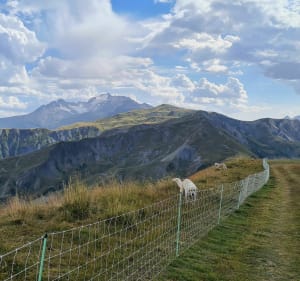 Le Grand Truc - Fontcouverte-la-Toussuire - 2