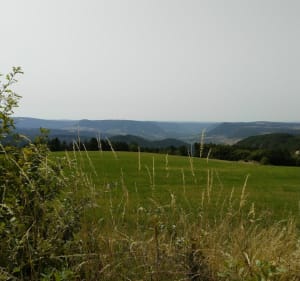 Entre le Mont Valdon et le col de la Loubière - Sainte-Hélène - 2