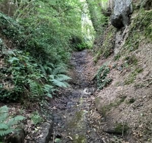 VTT à Nouvoitou - Nouvoitou - 2