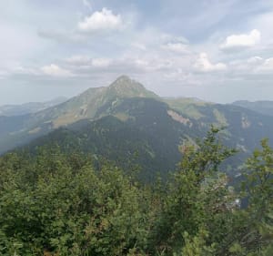 Van de Col de Bassachaux tot de Tête du Lindaret - Châtel - 2