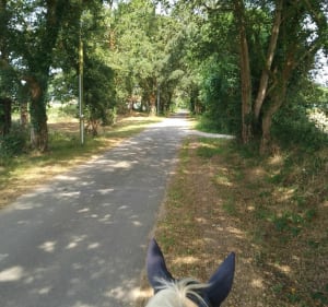 Petites routes de Saint-Geours-de-Maremme vers l'Adour - Saint-Geours-de-Maremne - 2