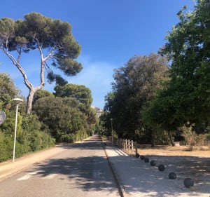 Balade ombragée du Roi d'Espagne à Campagne Pastré - Marseille - 2