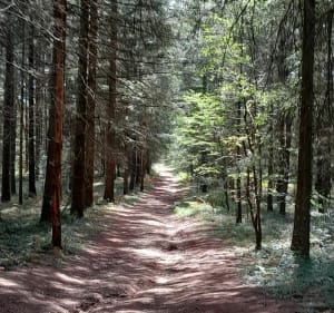 La grande boucle Sousceyrac - Sousceyrac-en-Quercy - 2