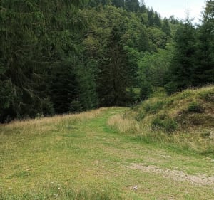 Petit trail entre Belle Hutte et le col de Feignes-sous-Vologne - La Bresse - 2