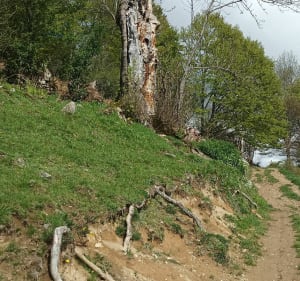 Balade au-dessus de Bordes-sur-Lez de Pujaout - La Serre - Arrien-en-Bethmale - 3