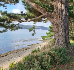 Logonna-Daoulas, la Pointe du Bindy et la Grève du Yelen - Logonna-Daoulas - 2