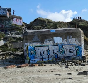 Sortie dans les dunes et plage de Zuydcoote à Leffrinckoucke - Isabelle - 2