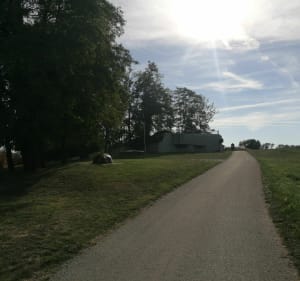 Balade à Magstatt-le-Bas, par Casemate Uffheim et bunkers - Magstatt-le-Bas - 2