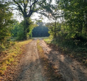 Boucle campagnarde à Cellefrouin - Beaulieu-sur-Sonnette - 2