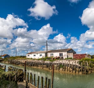 Sortie à vélo de Saint-Pierre-d'Oléron à Gautrelle par Boyardville - Saint-Pierre-d'Oléron - 3