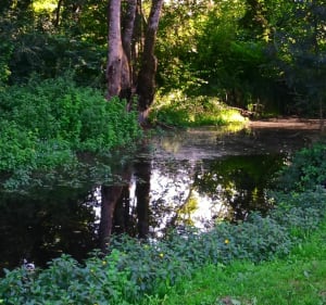 Balade en vélo entre la Charente et la Seugne - Aline - 4