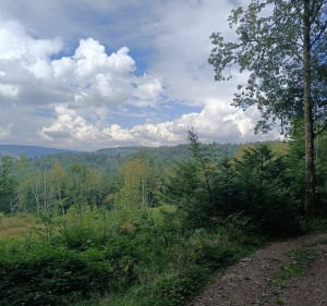 Les hautes mines du Thillot - Le Thillot - 2
