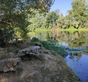 Balade en bords de Loire depuis Briennon - Pouilly-Sous-Charlieu - 5