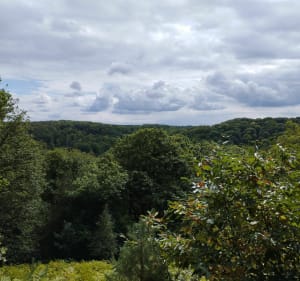 Sentier de découverte de Maincourt - Lévis-Saint-Nom - 2